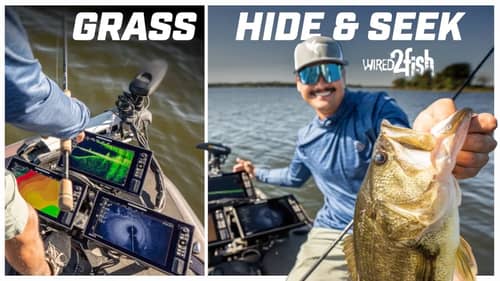 Uncovering Hidden Bass Spots in Grass with Electronics