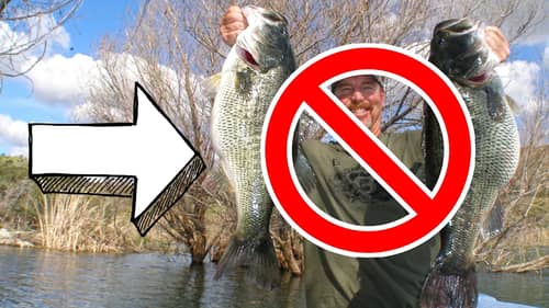 BASS FISHING CHEATER!?!? Mike Long LIED About TROPHY BASS?