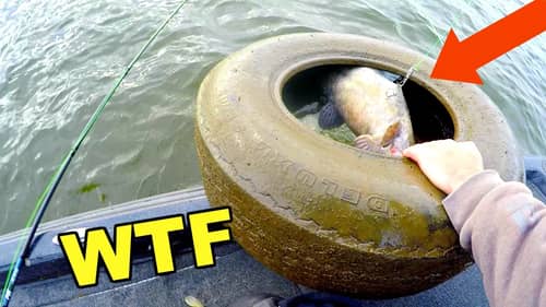 Most UNBELIEVABLE Fish Catch EVER!!! Fish Caught in a TIRE?!