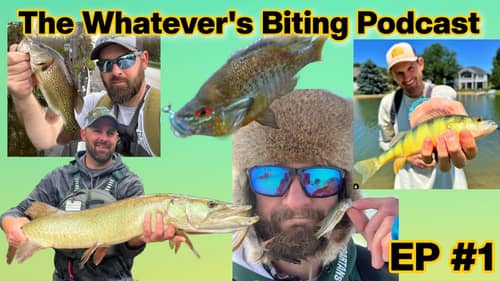 Here We Are!! Episode #1 of The Whatever's Biting Podcast
