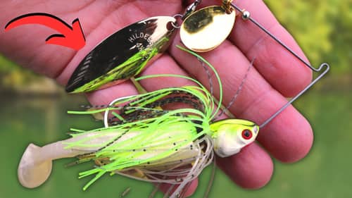 Your SPINNERBAIT Fishing Will Never Be The Same