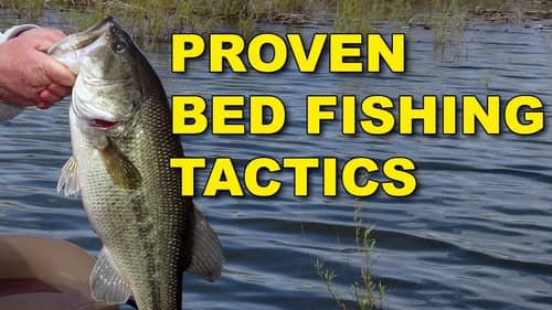 Proven Bed Fishing Tactics for Spawning Bass | Bass Fishing