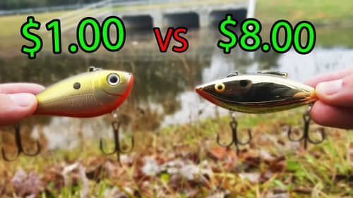 Cheap Lipless CrankBait VS Expensive Lipless Crankbait -- Fishing CHALLENGE