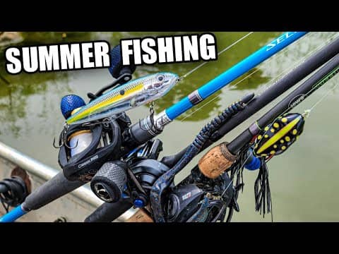 Summer Bass Fishing | Topwater, Texas Rig, & Frog!