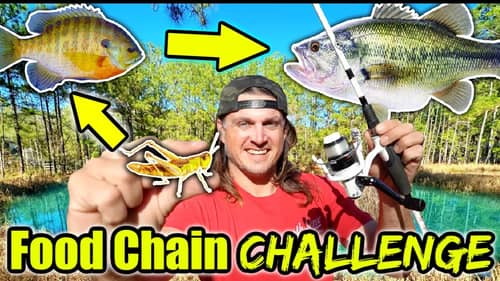 FIRST EVER Food Chain Fishing Challenge in My BACKYARD POND!!