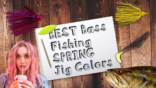 BEST Jig Colors for Spring Bass Fishing