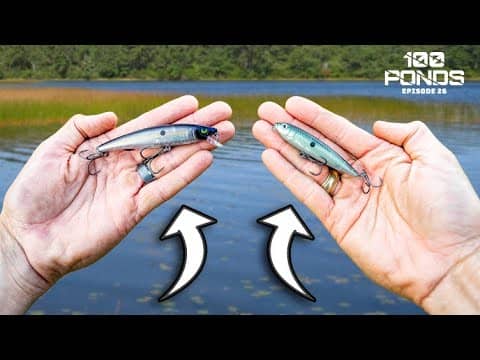 Two MUST HAVE Lures For Fall Fishing ("100 Ponds" Ep. 26)