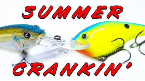 Summer Crankbait Fishing - Everything You Need To Know!