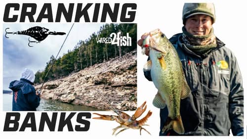Crankbait Fishing Tips for Winter Bass on Rocky Banks