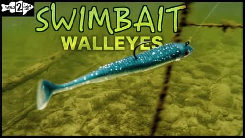 2 Ways to Target Walleyes With Paddle Tail Swimbaits