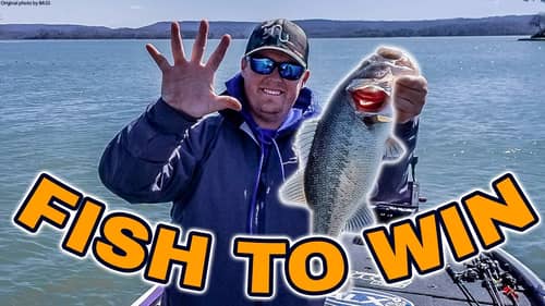 Bass Fishing Tip - Trust Your Instincts