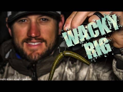 Awesome WACKY RIG TIPS & Bass Fishing SECRETS