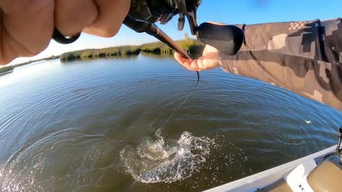 Fall Fishing On The CA Delta! (Tidal Fishing For Largemouth And Striper!)