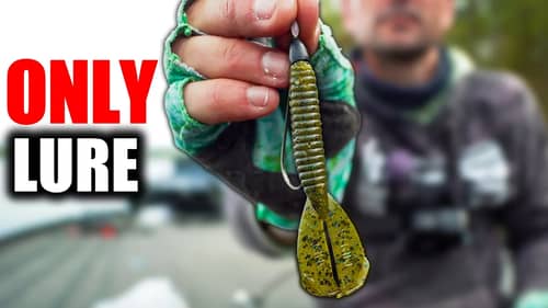 The ONLY Lure you NEED to Catch FISH in Spring