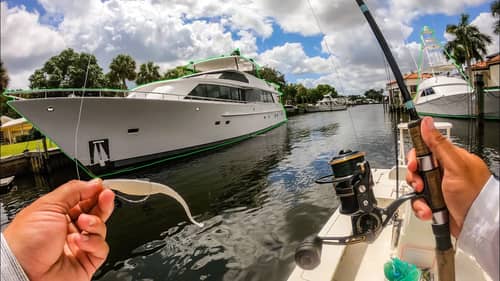 Fishing Underneath Multi Million Dollar Yachts