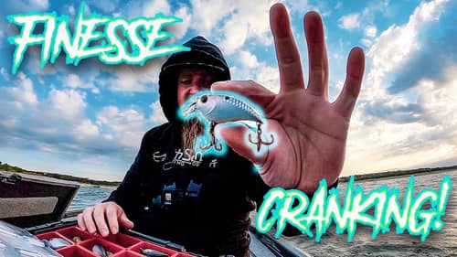 FINESSE CRANKING for SHALLOW FALL BASS! 6th Sense Curve Finesse Square Bill