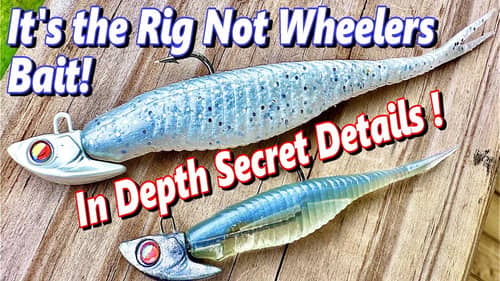Search How%20to%20win%20with%20the%20damiki%20rig Fishing Videos