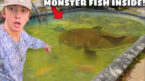 I Found an Abandoned Pool FILLED with Monster Fish!