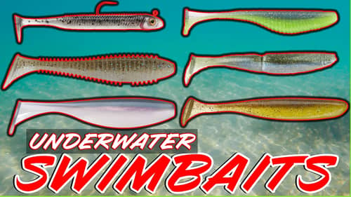 Underwater Swimbait Footage! Best Swimbaits And Paddletails Compared!
