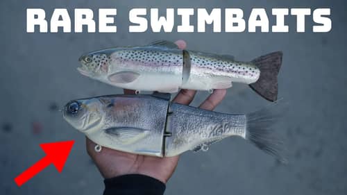 This Swimbait Meet Up Had All The Hype Baits! Swimbait Universe Gathering 5!