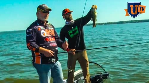 Toledo Bend : Find Fish & Catch Bass - Iaconelli