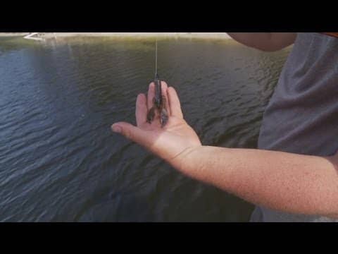 How To Fish The Yum Craw Papi | Bass Fishing