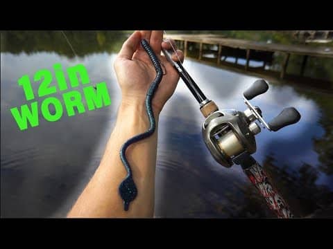 Foot Long Worm Catches GIANT Texas Bass — My Personal Best!