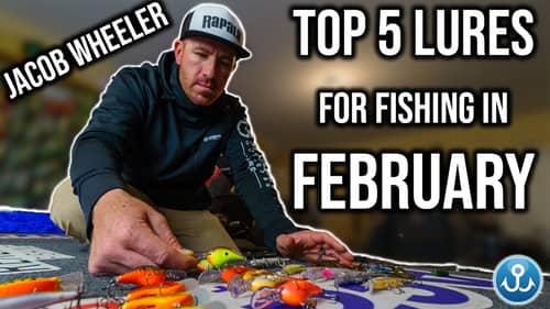 Jacob Wheeler's Top 5 Fishing Lures for February