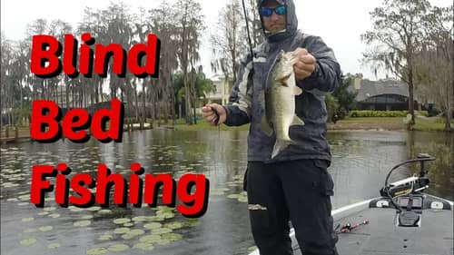 Blind Bed Fishing in Pads