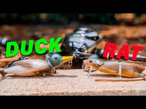 Baby Duck Vs. Rat Lure Fishing Challenge