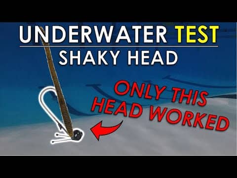 Testing Stand Up Shaky Heads In Deep Pool | Finesse Worm Tips and Techniques