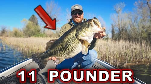 Matt Catches a HUGE Double Digit bass with his Dad!