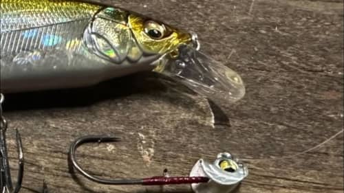 The Best Jerkbait You Have Never Fished With…
