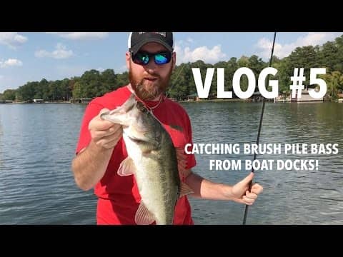 Catching Brush Pile Bass from the Dock