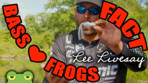 ALWAYS Fish a Topwater Frog