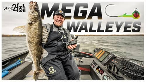 Uncover More Walleyes With Sonar Technology: Tips For Success