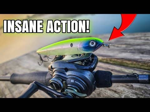 CRAZY Summer Topwater Fishing (Always Carry These!)