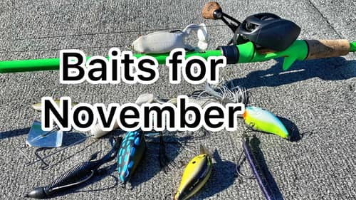 Baits That Work in November - Bass Fishing