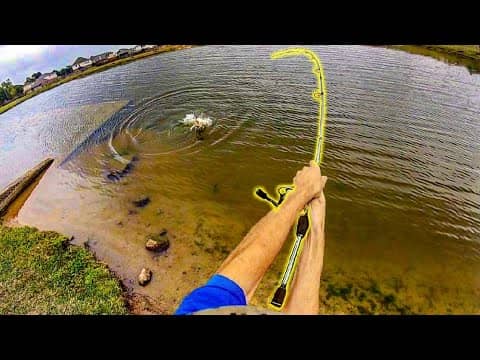 SIGHT FISHING a MONSTER on 4 LB LINE!!