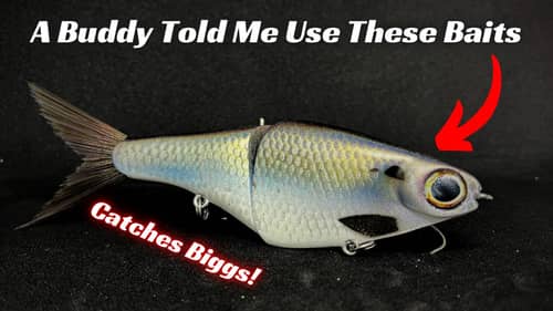 Other Anglers Told Me These Glide Baits Work. Do They?