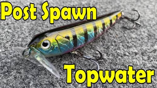 Post Spawn Topwater