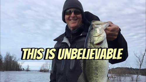 3 Truths About Bass Most Anglers Can’t Accept