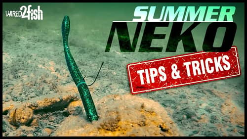 4 Neko Rig Tricks for Tough Late Summer Bass