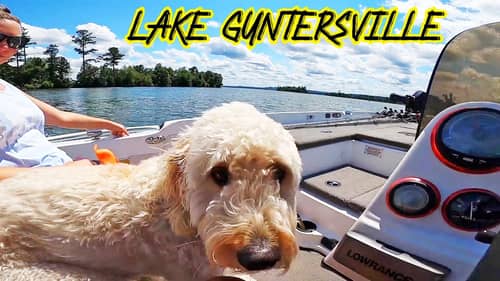 Lake Guntersville Fun & Fishing With Codi and Scout!! Tourist Destination!