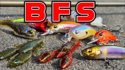 SPRING BUYER'S GUIDE: BFS ( Bait Finesse System: Rods, Reels, Baits, Tackle )