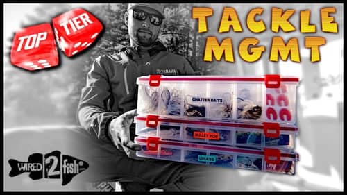 Tackle Organization Tips: Color-Coding Boxes to Find Baits Fast