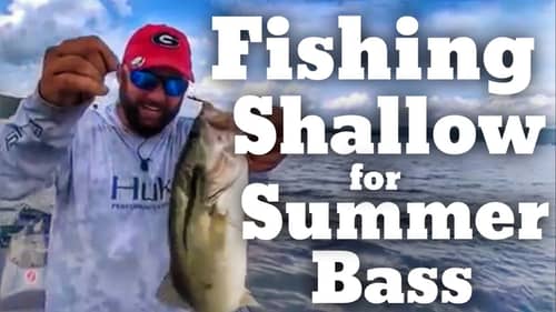 How to Fish Shallow for Summer Bass
