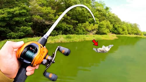 Fishing for 15lb Bass w/ Topwater in HIDDEN Trophy Pond!