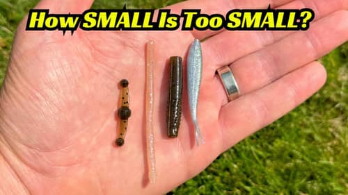 How Small Is Too Small When It Cones To Bass Fishing?