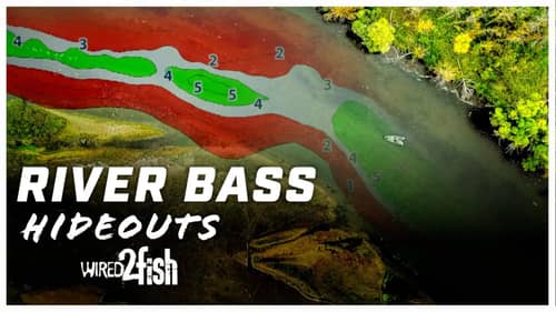4 Essential Tips For Finding Bass In the River